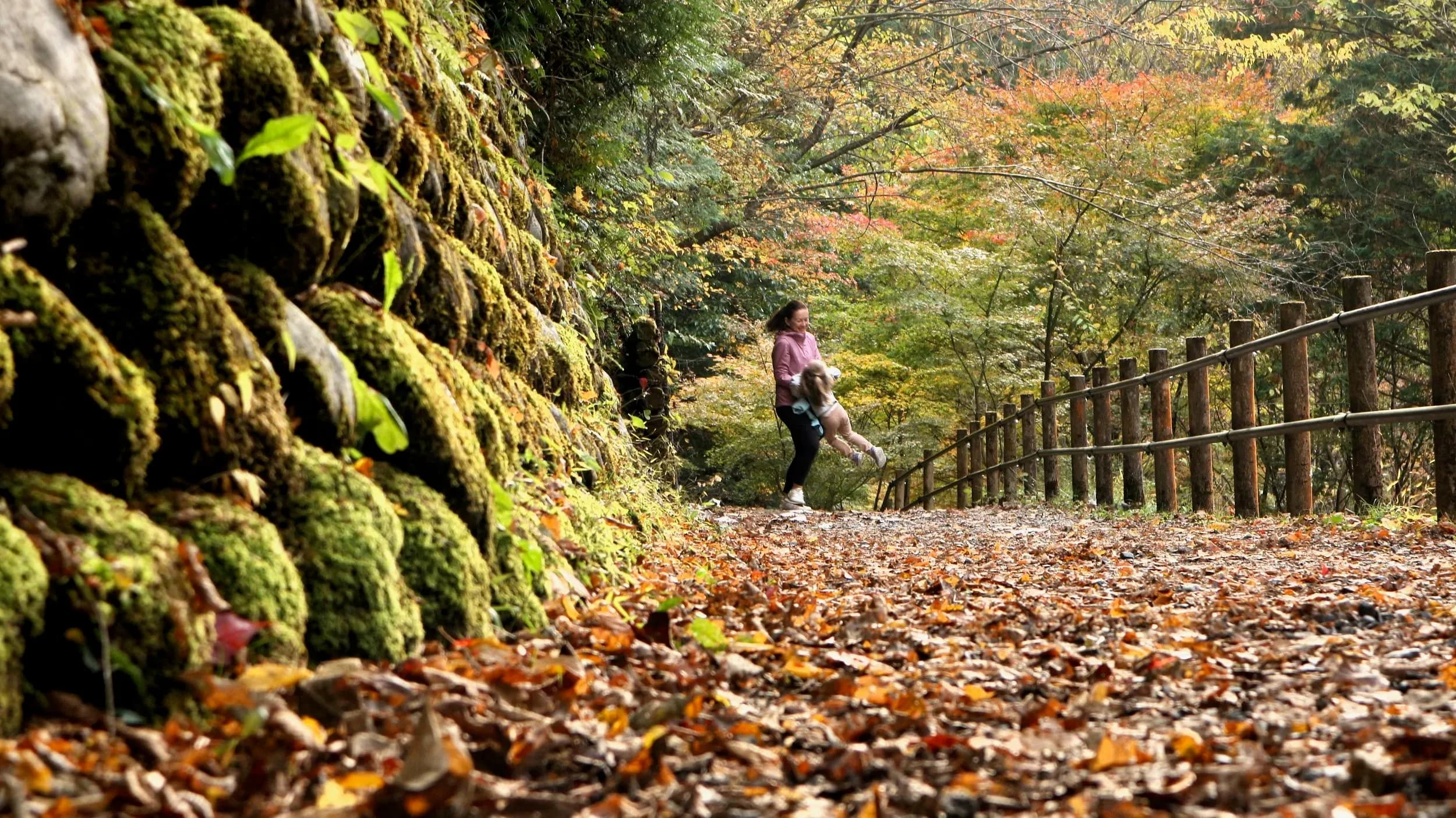 7-day road trip in Gifu「Day 4: Gero & Nakatsugawa」