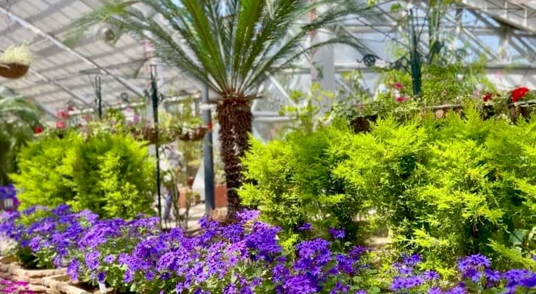 Grid image