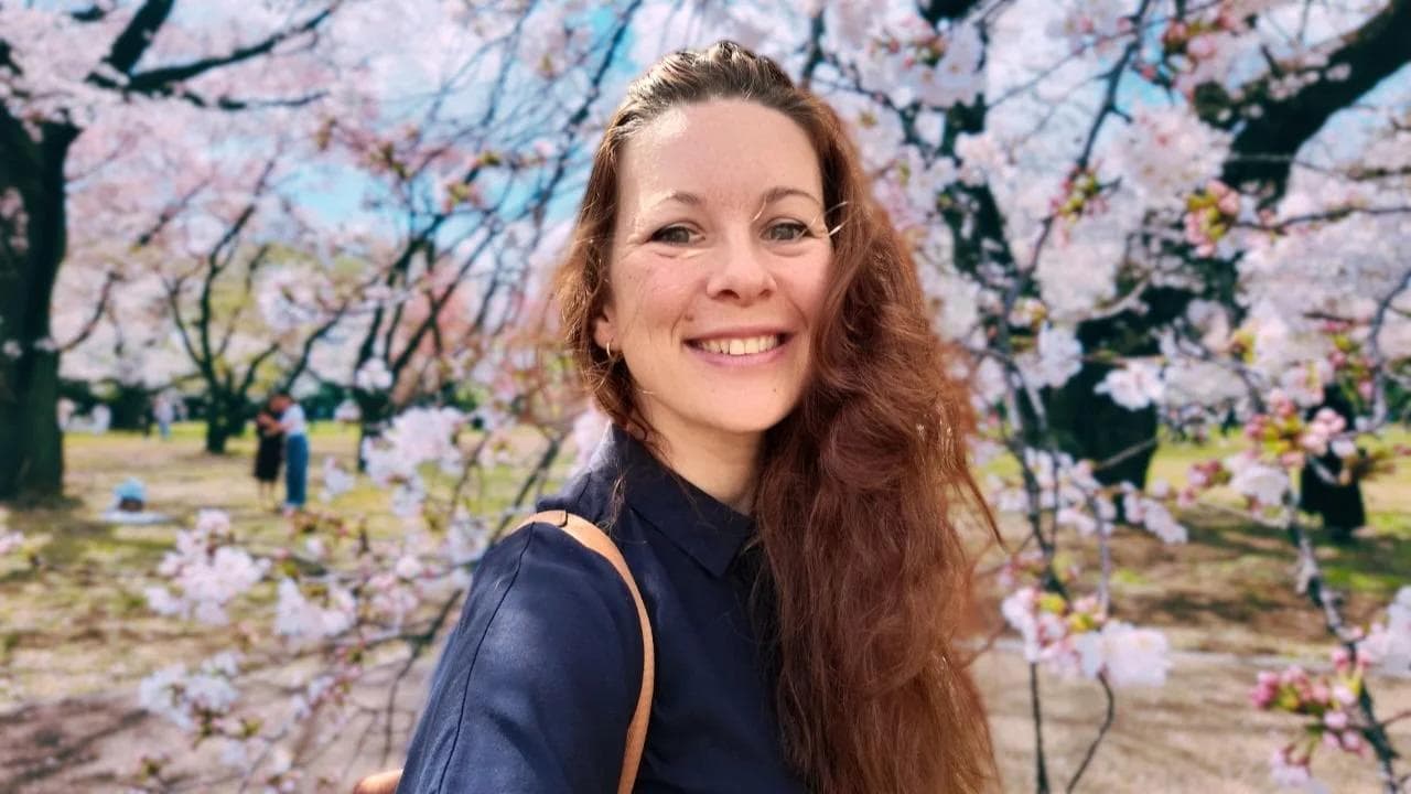 Shinjuku Between Chaos and Serenity